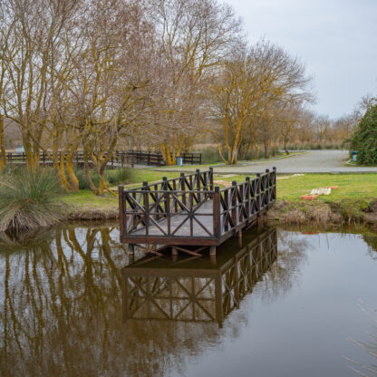 Création de ponton bois sur pilotis