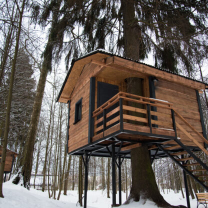 Création de cabane arboricole habitable