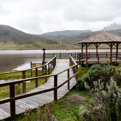 Création de terrasse d'accès et de kiosque toit tuile sur pilotis