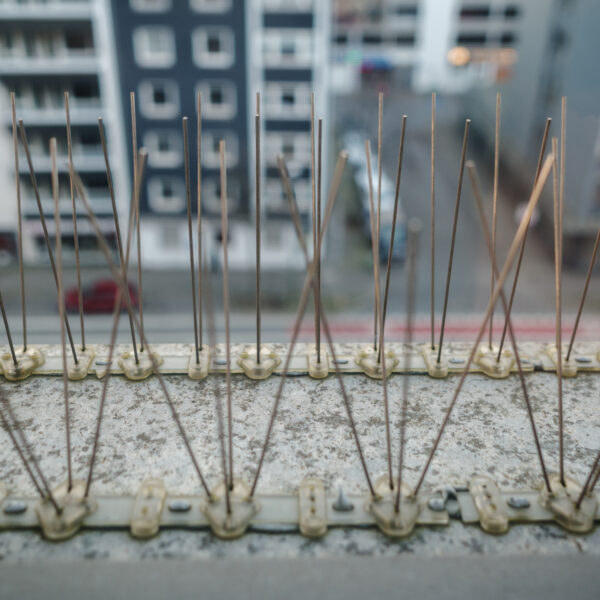 Installations anti-volatiles