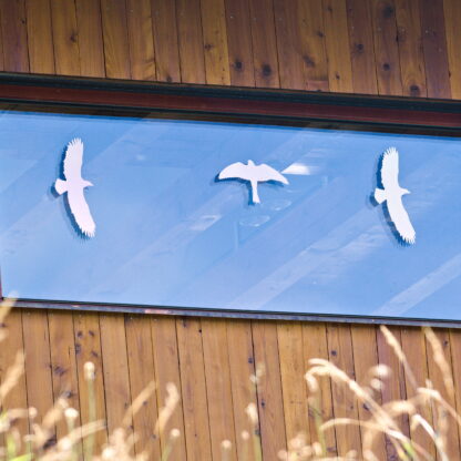 Installation de silhouettes aviaires sur les vitrages pour éviter les collisions