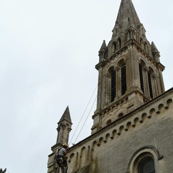 Nettoyage de clocher